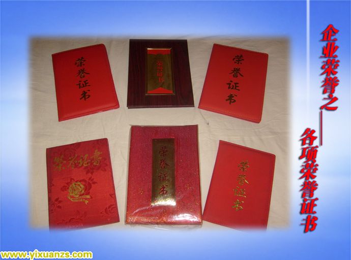 企业荣誉五